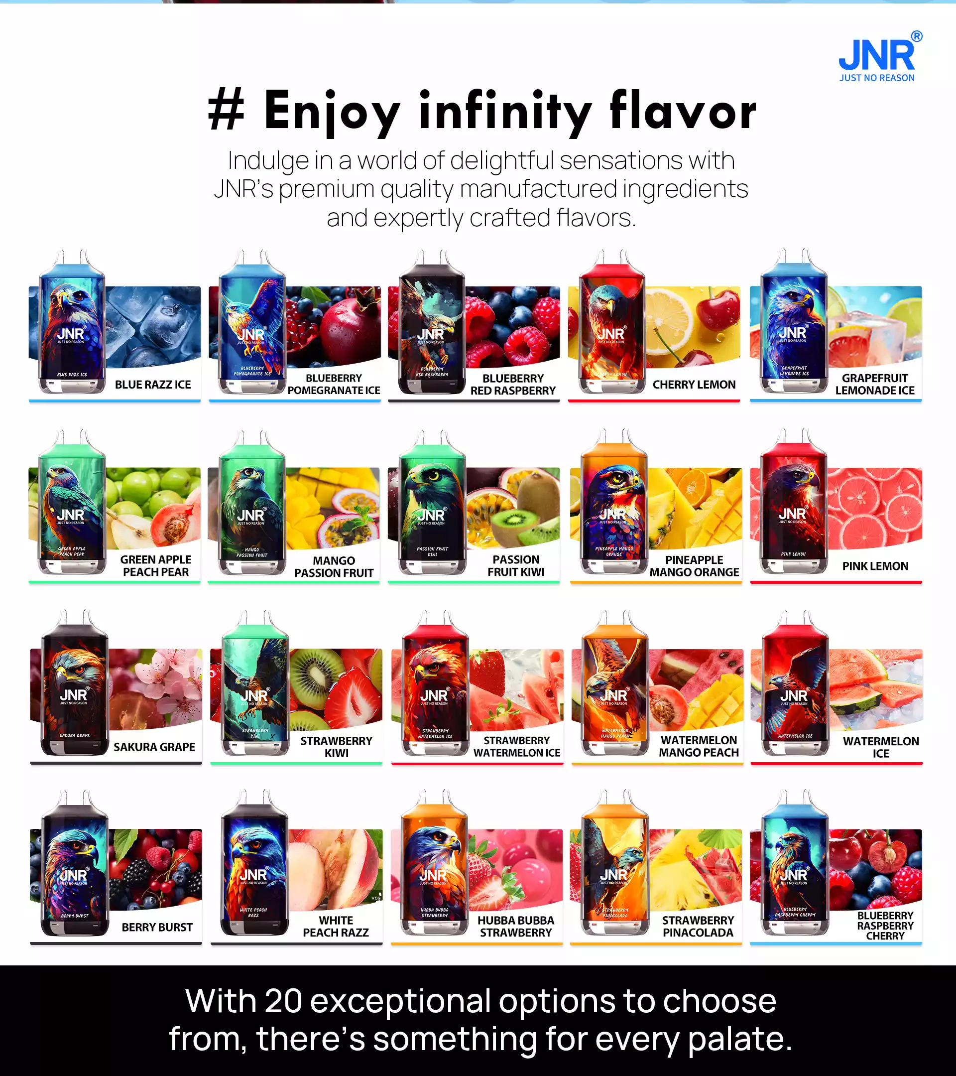 Jnr Falcon 16000 Puffs 16K Vape Disposable Vape Electric Cigarette